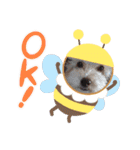キュ一トな犬スタンプ（個別スタンプ：6）