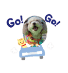 キュ一トな犬スタンプ（個別スタンプ：8）