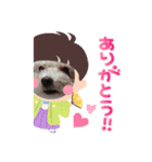 キュ一トな犬スタンプ（個別スタンプ：10）