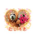 キュ一トな犬スタンプ（個別スタンプ：14）