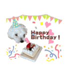 ハル＆モチャ-4（個別スタンプ：28）