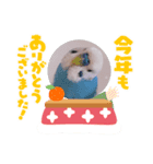 ぴーちゃん☆happy stamp2022（個別スタンプ：1）