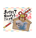 ぴーちゃん☆happy stamp2022（個別スタンプ：4）