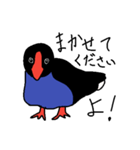 Pukeko's Family（個別スタンプ：2）