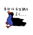 Pukeko's Family（個別スタンプ：3）