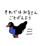 Pukeko's Family（個別スタンプ：4）