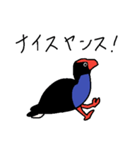 Pukeko's Family（個別スタンプ：9）