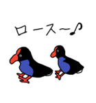 Pukeko's Family（個別スタンプ：16）