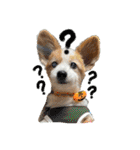 世界で1番可愛い犬Part2（個別スタンプ：2）
