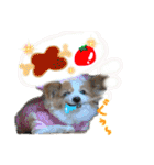 世界で1番可愛い犬Part2（個別スタンプ：10）
