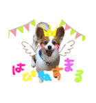世界で1番可愛い犬Part2（個別スタンプ：26）