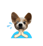 世界で1番可愛い犬Part2（個別スタンプ：27）