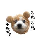 世界で1番可愛い犬Part2（個別スタンプ：30）