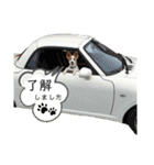 世界で1番可愛い犬Part2（個別スタンプ：32）