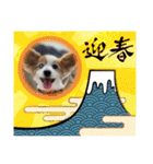 世界で1番可愛い犬Part2（個別スタンプ：37）