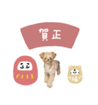 ♡なぎさ様（個別スタンプ：5）