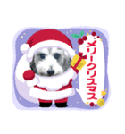 シュナみんなのクリスマス（個別スタンプ：4）