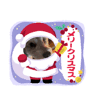 シュナみんなのクリスマス（個別スタンプ：8）