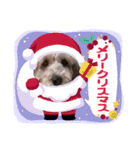 シュナみんなのクリスマス（個別スタンプ：12）