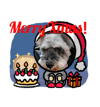 シュナみんなのクリスマス（個別スタンプ：13）