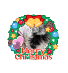シュナみんなのクリスマス（個別スタンプ：14）