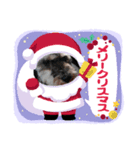 シュナみんなのクリスマス（個別スタンプ：16）