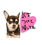 NIKE♡PUMA 4（個別スタンプ：20）