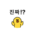 韓国語(LINE FRIENDS)（個別スタンプ：13）