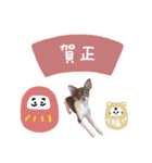 ♡たえこ様（個別スタンプ：5）