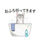 サバトラ猫の日常スタンプ Vol.1（個別スタンプ：5）