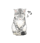 サバトラ猫の日常スタンプ Vol.1（個別スタンプ：11）