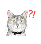 サバトラ猫の日常スタンプ Vol.1（個別スタンプ：14）