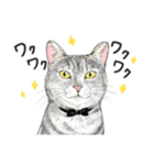 サバトラ猫の日常スタンプ Vol.1（個別スタンプ：23）