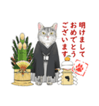 サバトラ猫の日常スタンプ Vol.1（個別スタンプ：32）