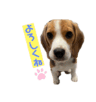 つぶあお♡スタンプ①（個別スタンプ：7）