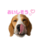 つぶあお♡スタンプ①（個別スタンプ：16）