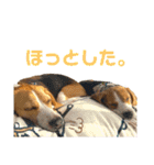 つぶあお♡スタンプ①（個別スタンプ：19）