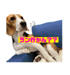 つぶあお♡スタンプ①（個別スタンプ：23）
