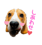 つぶあお♡スタンプ①（個別スタンプ：28）