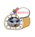 くう＆みい（個別スタンプ：11）