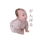 haruto _ 0515 _ winter（個別スタンプ：12）
