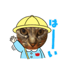 キナコツブラリ！（個別スタンプ：13）