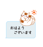 もちもちほっぺのねこ6☆のんべえにゃんこ（個別スタンプ：30）