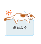 もちもちほっぺのねこ6☆のんべえにゃんこ（個別スタンプ：31）