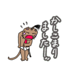 ブリーフねこ侍-vol.1-(敬語・年末年始編)（個別スタンプ：16）