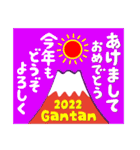 2022富士山で新年の挨拶 その1（個別スタンプ：3）