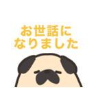 パグ2022（個別スタンプ：5）