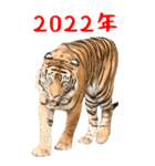 BIGなトラの寅年スタンプ！令和4年 お正月（個別スタンプ：11）