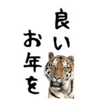 BIGなトラの寅年スタンプ！令和4年 お正月（個別スタンプ：17）