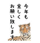 BIGなトラの寅年スタンプ！令和4年 お正月（個別スタンプ：19）